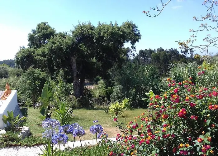 Casa Lantana Tatil Evi Figueira da Foz