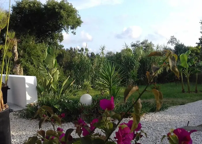 Tatil Evi Casa Lantana Figueira da Foz