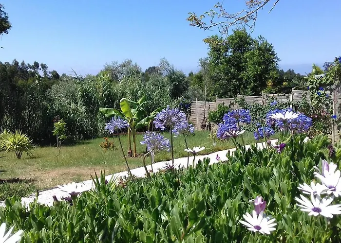 Tatil Evi Casa Lantana Figueira da Foz