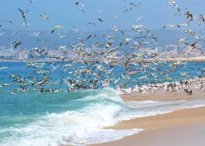 Tatil Evi Casa Lantana