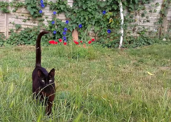 Tatil Evi Casa Lantana