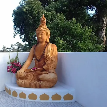 Ferienhaus Casa Lantana