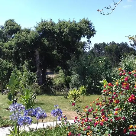Casa Lantana Ferienhaus Figueira da Foz