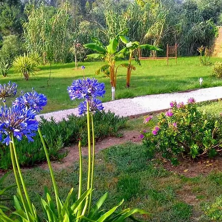 Ferienhaus Casa Lantana