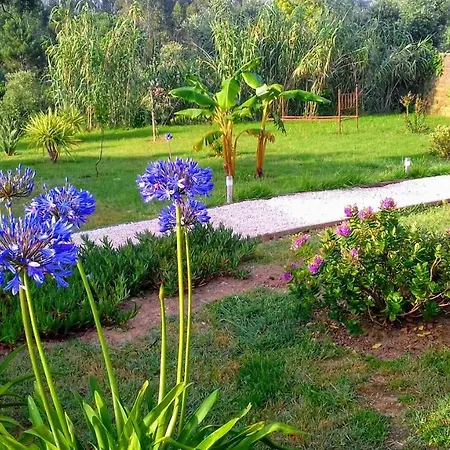 Сasa de vacaciones Casa Lantana