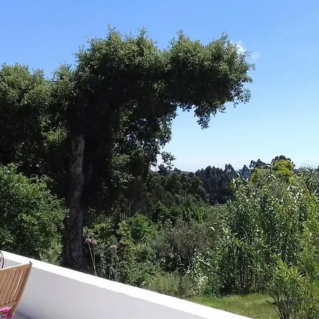 Casa Lantana Figueira da Foz