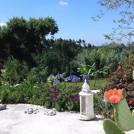 Casa Lantana Figueira da Foz
