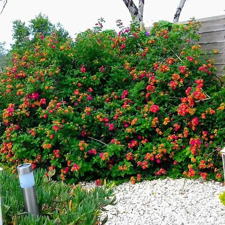 Casa Lantana Ferienhaus *