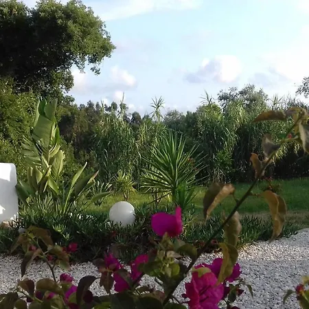 Ferienhaus Casa Lantana Figueira da Foz