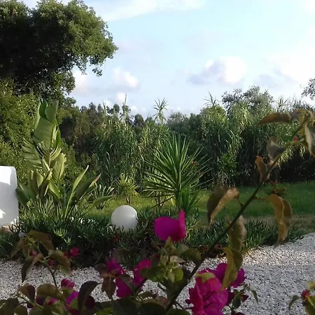Сasa de vacaciones Casa Lantana Figueira da Foz