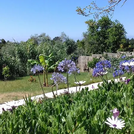 Сasa de vacaciones Casa Lantana Figueira da Foz