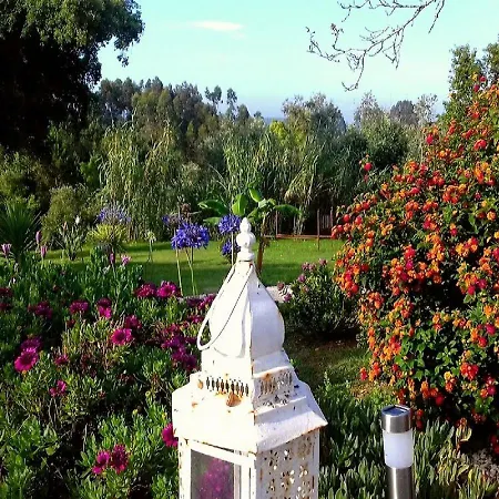 Casa Lantana * Figueira da Foz