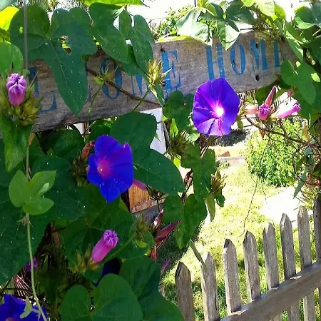 Ferienhaus Casa Lantana *