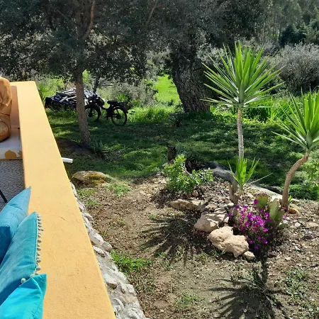 Casa Lantana Ferienhaus Figueira da Foz