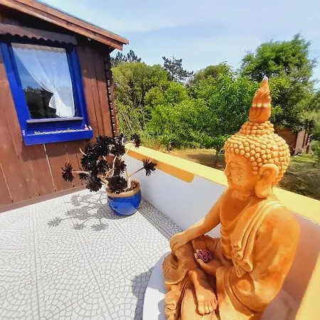 Casa Lantana Figueira da Foz