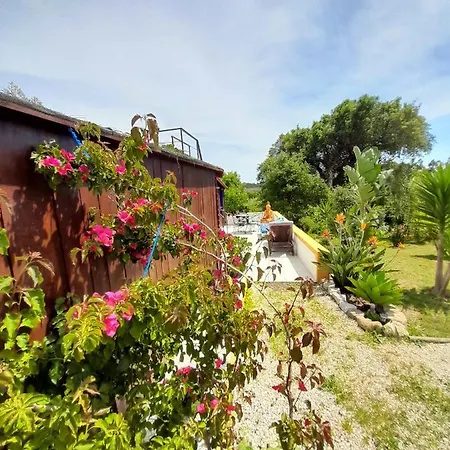 Casa Lantana Figueira da Foz