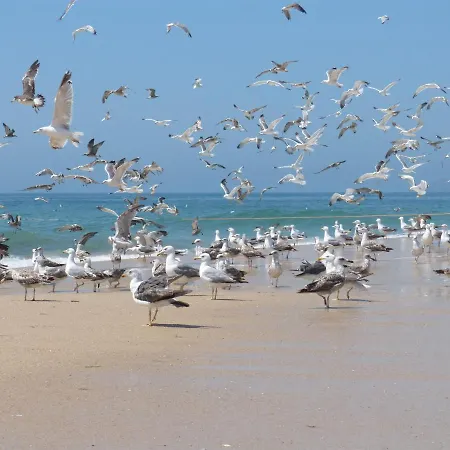Casa Lantana Figueira da Foz
