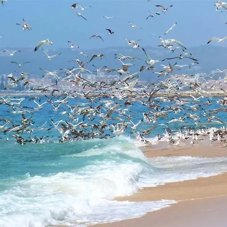 Сasa de vacaciones Casa Lantana