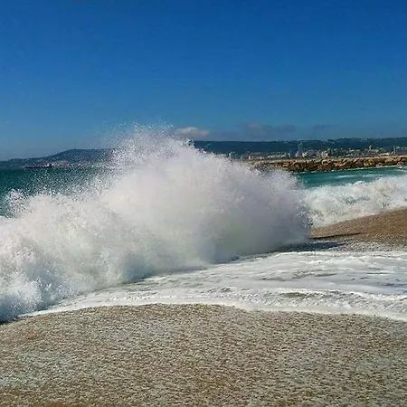 Casa Lantana Figueira da Foz