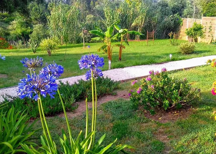 Dom wakacyjny Casa Lantana