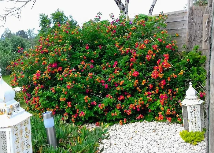 Casa Lantana 度假居 *