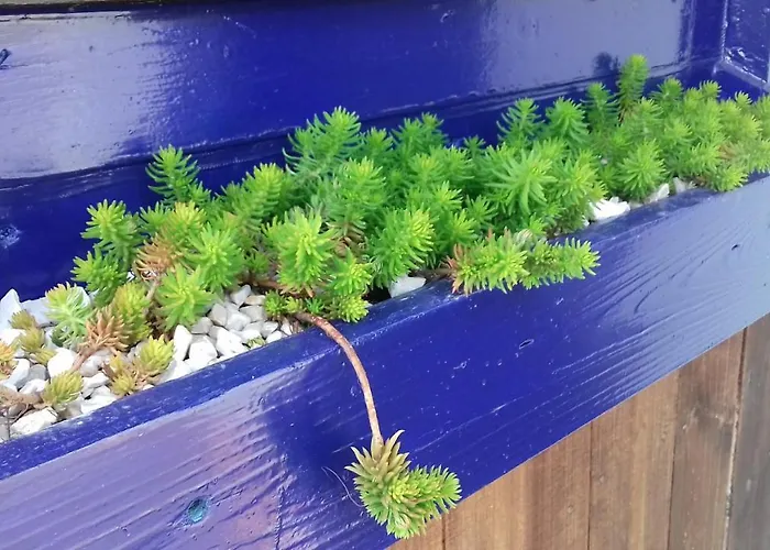 Dom wakacyjny Casa Lantana Figueira da Foz